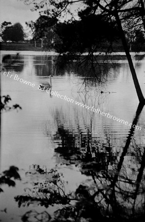 EMO LAKE WITH SWAN AND TREES